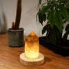 Smoky Quartz With Moss Inclusions Lamp