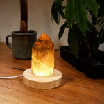 Smoky Quartz With Moss Inclusions Lamp