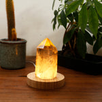 Smoky Quartz With Moss Inclusions Lamp