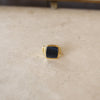 Hawk's eye | Ray Signet Ring