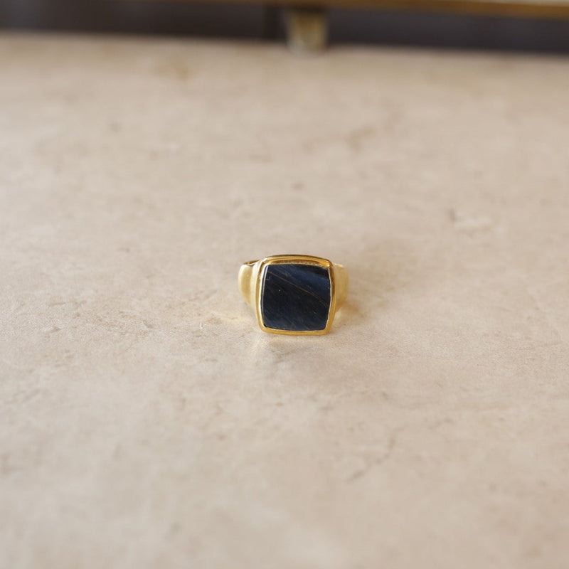Hawk's eye | Ray Signet Ring