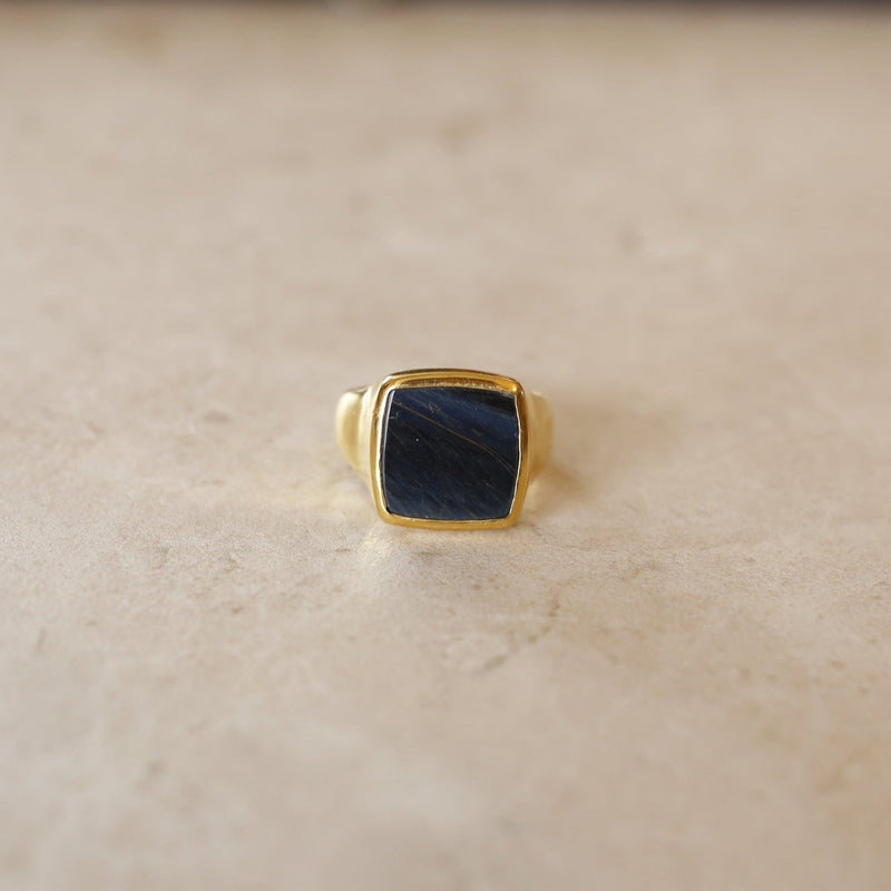 Hawk's eye | Ray Signet Ring