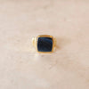 Hawk's eye | Ray Signet Ring
