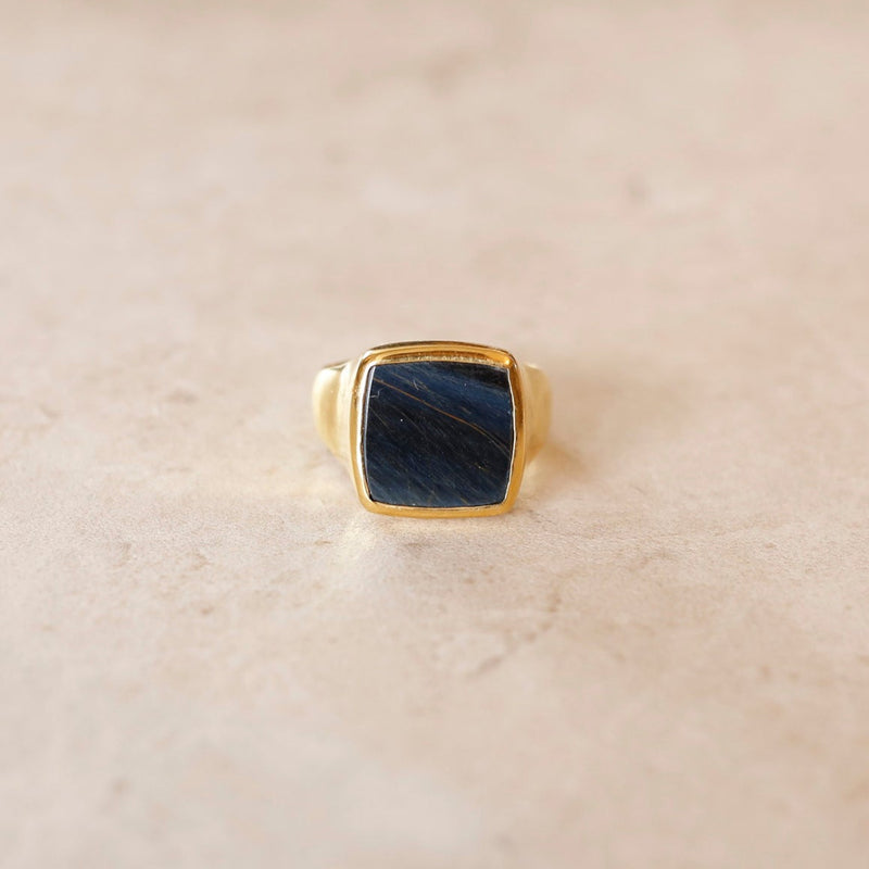 Hawk's eye | Ray Signet Ring