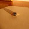 Hawk's eye | Ray Signet Ring