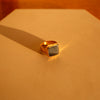 Hawk's eye | Ray Signet Ring